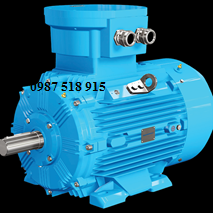 MOTOR 3 PHASE PHÒNG NỔ